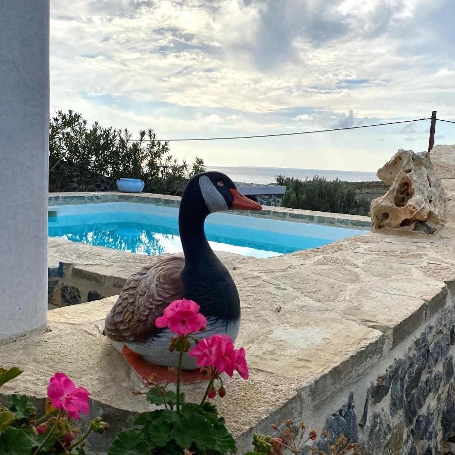 Stelani Villas & Suites Kalamaki  Eksteriør bilde